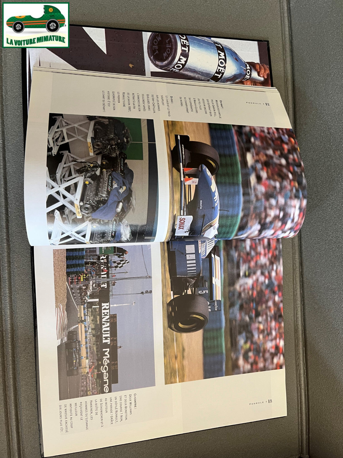 Livre Voiture Automobile L'année du Sport Auto 1996 Calmann Lévy