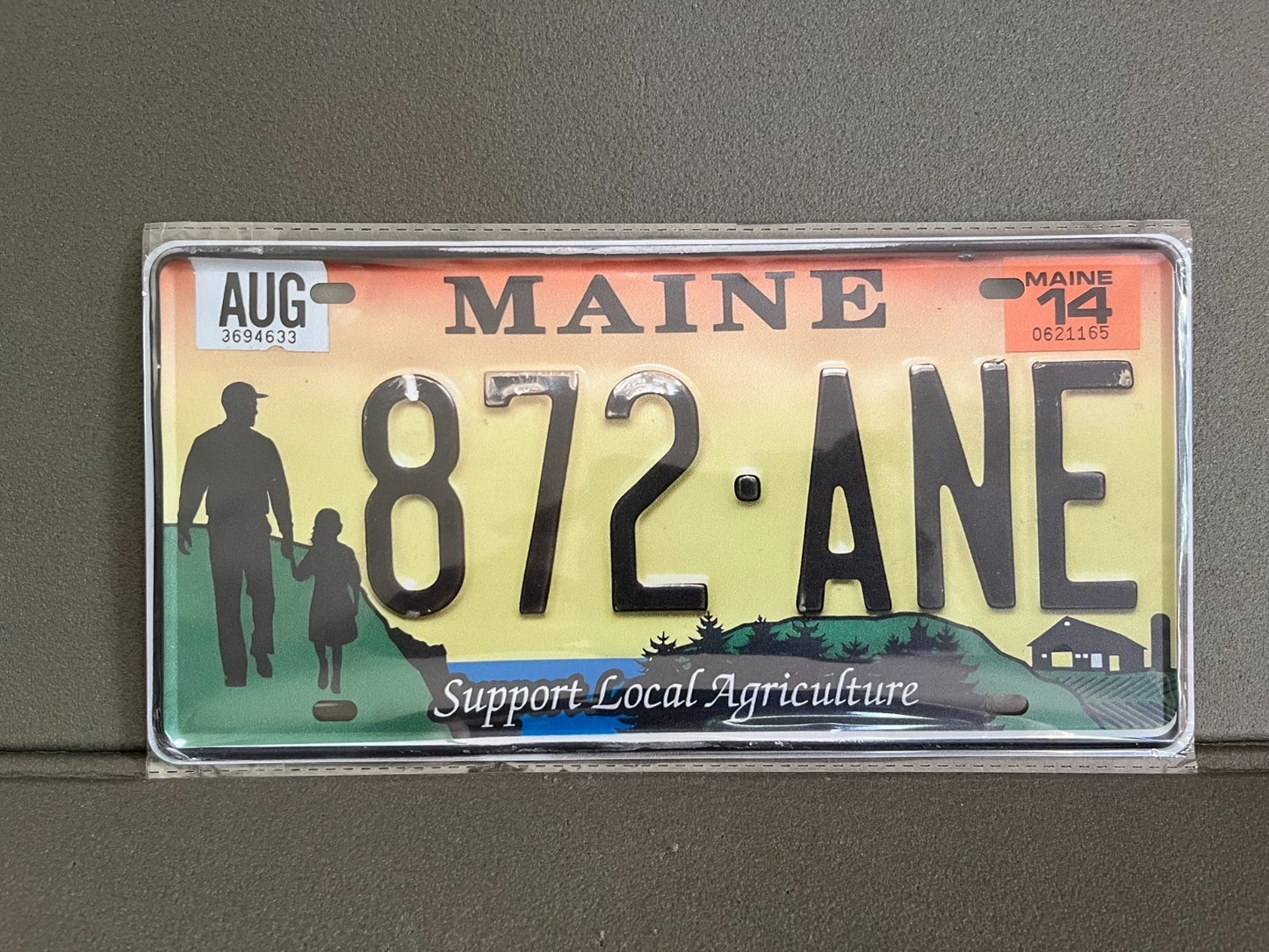 Plaque Métal Voiture Automobile Américaine Immatriculation Maine 15 x 30 cm