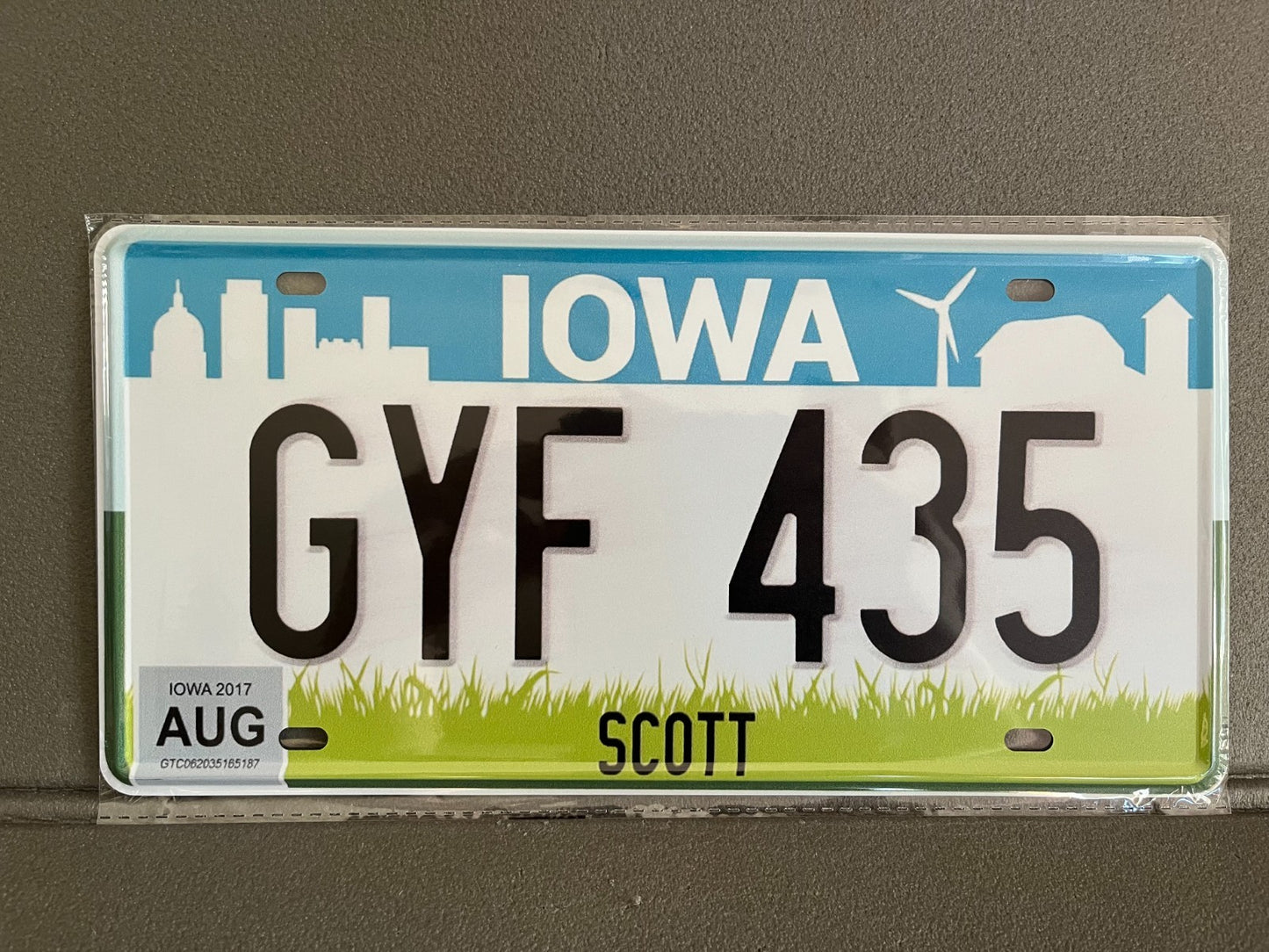 Plaque Métal Voiture Automobile Américaine Immatriculation Iowa 15 x 30 cm