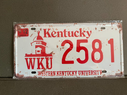 Plaque Métal Voiture Automobile Américaine Immatriculation Kentucky 15 x 30 cm