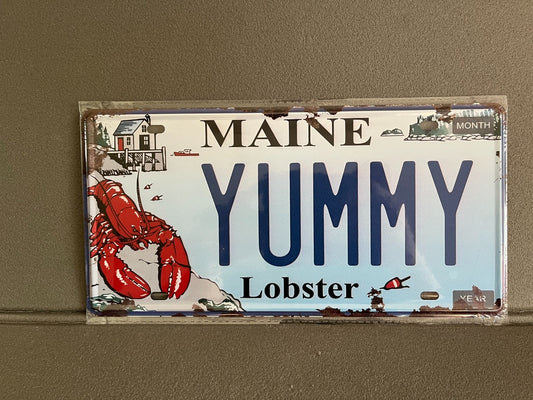 Plaque Métal Voiture Automobile Américaine Immatriculation Maine 15 x 30 cm