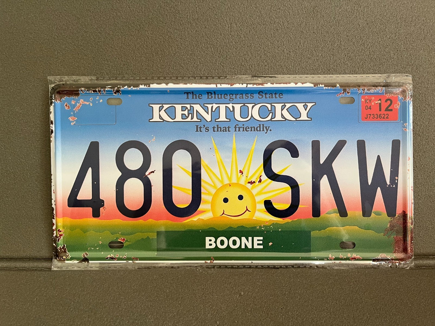 Plaque Métal Voiture Automobile Américaine Immatriculation Kentucky 15 x 30 cm