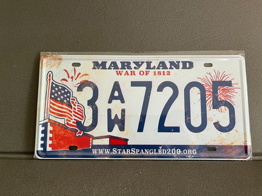 Plaque Métal Voiture Automobile Américaine Immatriculation Maryland 15 x 30 cm