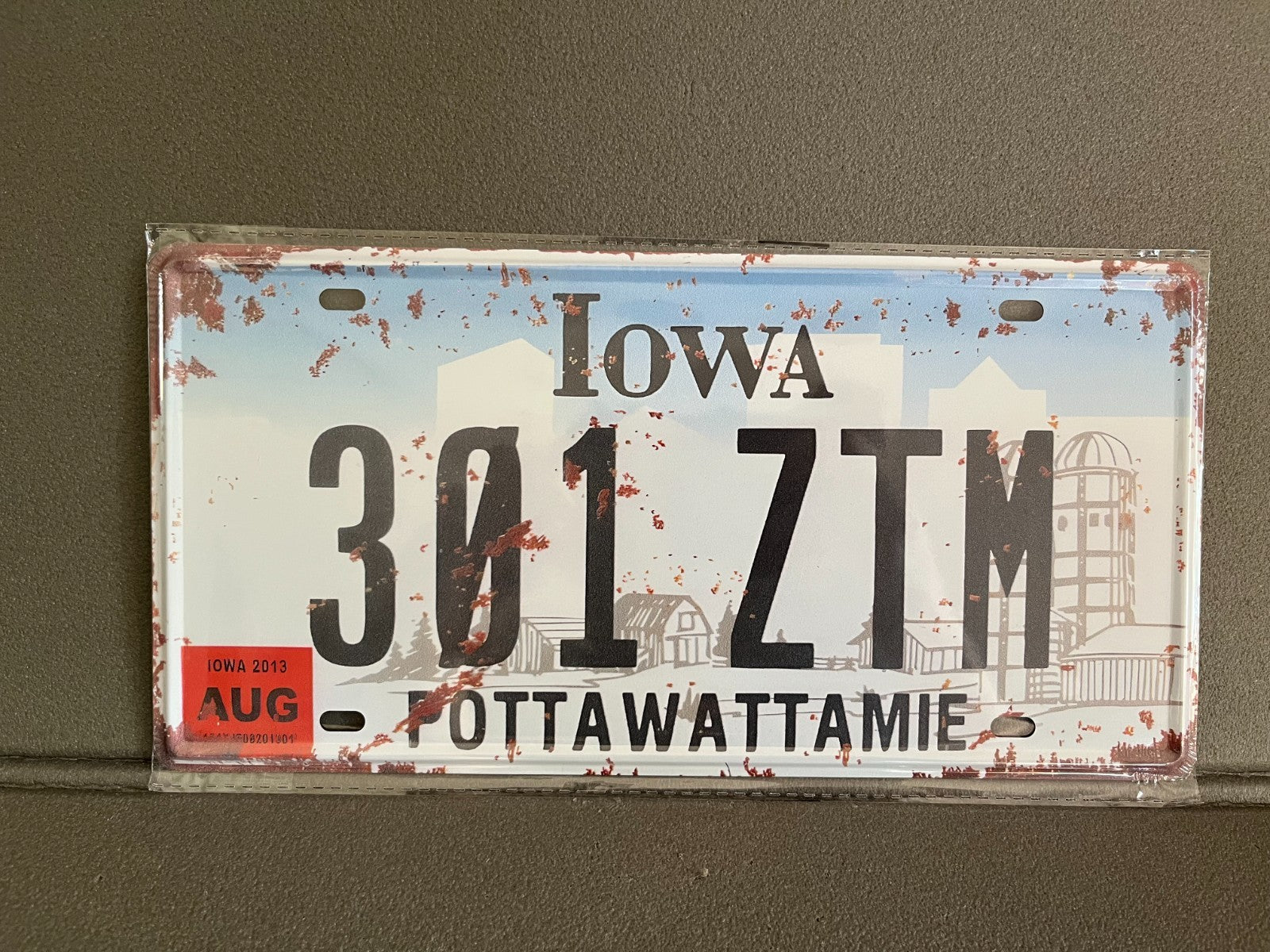 Plaque Métal Voiture Automobile Américaine Immatriculation Iowa 15 x 30cm