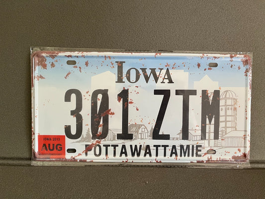 Plaque Métal Voiture Automobile Américaine Immatriculation Iowa 15 x 30cm