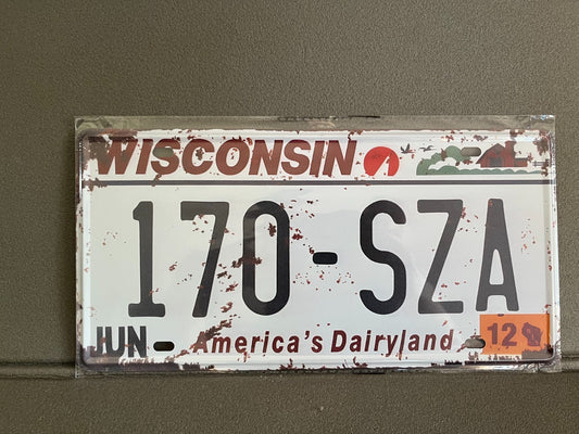Plaque Métal Voiture Automobile Américaine Immatriculation Wisconsin 15 x 30cm