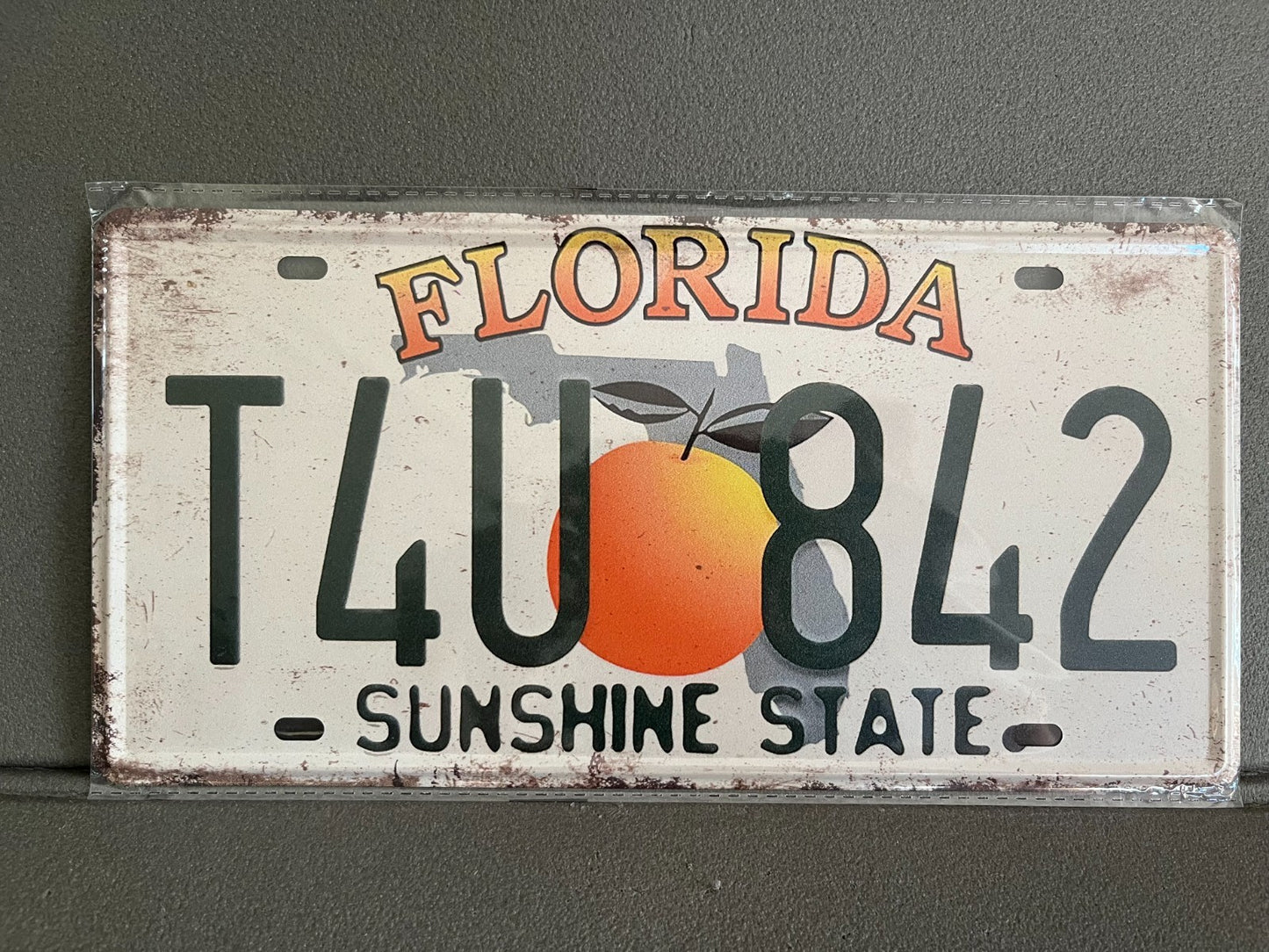 Plaque Métal Voiture Automobile Américaine Immatriculation Florida 15 x 30 cm