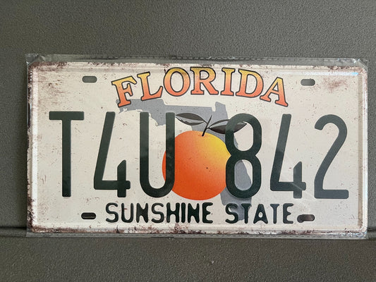 Plaque Métal Voiture Automobile Américaine Immatriculation Florida 15 x 30 cm