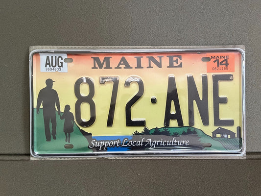 Plaque Métal Voiture Automobile Américaine Immatriculation Maine 15 x 30 cm