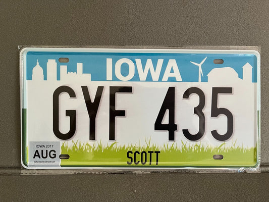 Plaque Métal Voiture Automobile Américaine Immatriculation Iowa 15 x 30 cm