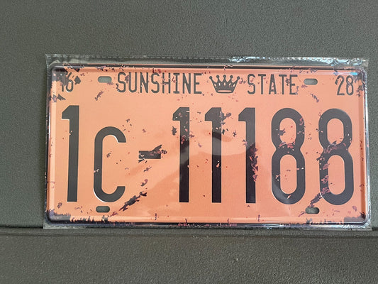 Plaque Métal Voiture Automobile Américaine Immatriculation Sunshine 15 x 30 cm
