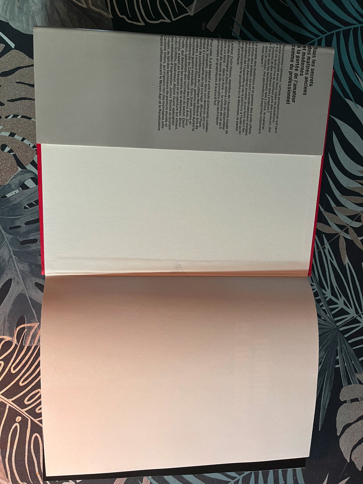 Livre Peindre et Dessiner Colin Hayes Bordas Peinture Art Dessin