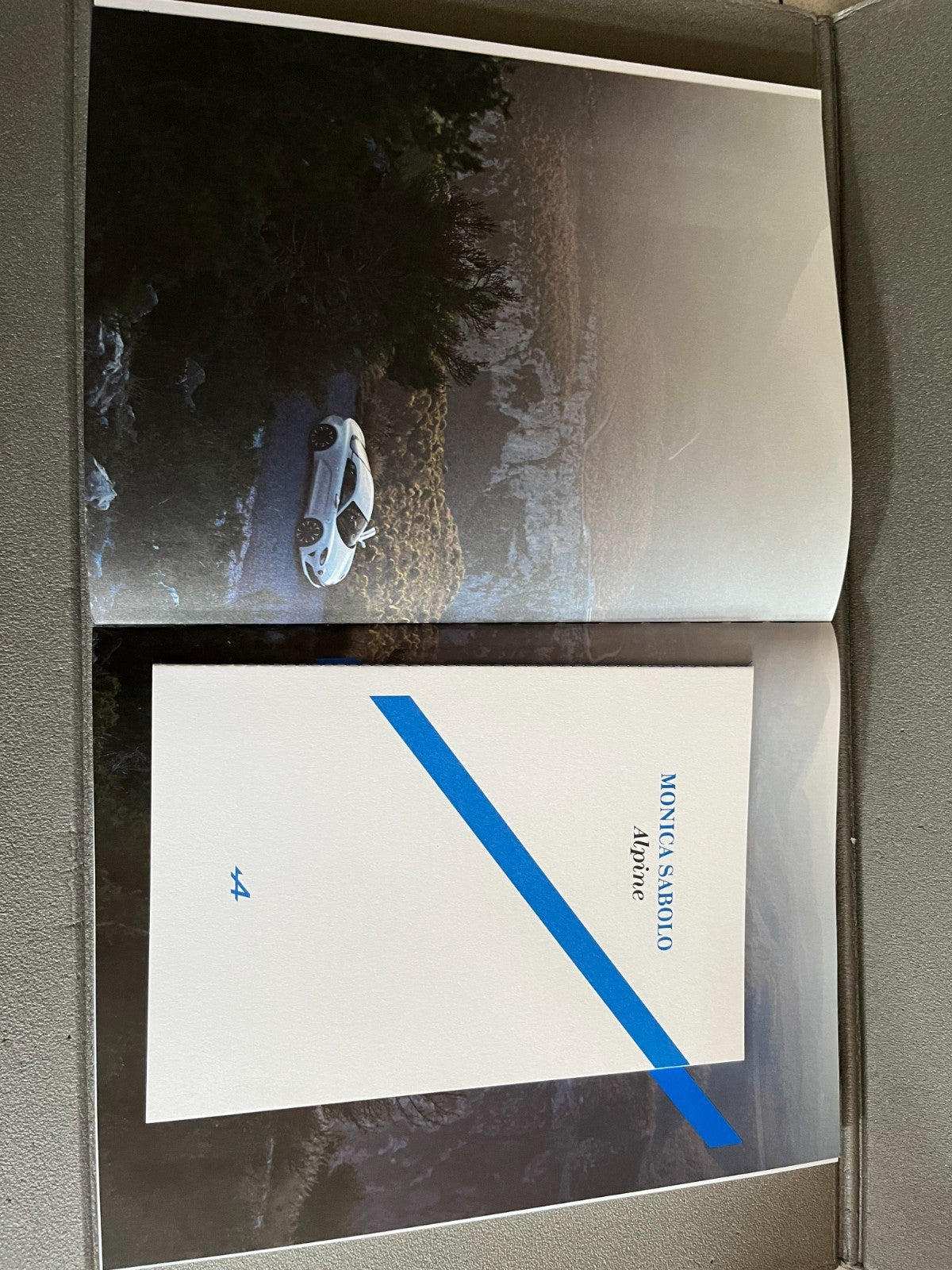 Livre Voiture Automobile Alpine La quête de l'agilité absolue Flammarion 2017