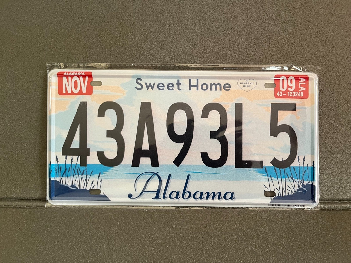 Plaque Métal Voiture Automobile Américaine Immatriculation Alabama 15 x 30 cm