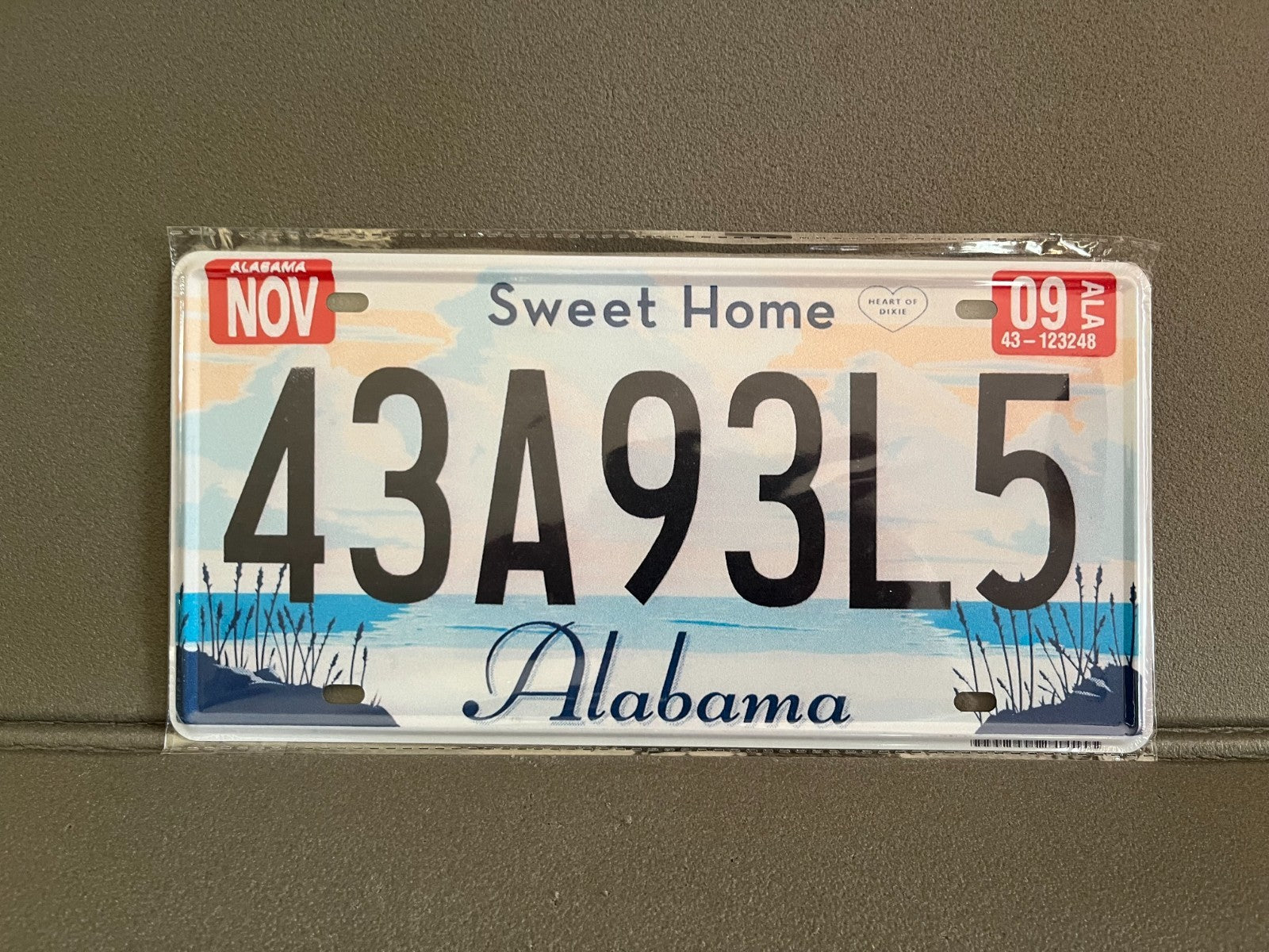 Plaque Métal Voiture Automobile Américaine Immatriculation Alabama 15 x 30 cm